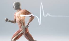 Electrocardiographic Criteria